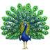:peacock: :peacock: