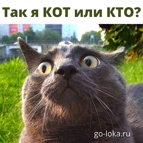 Я КОТ или КТО_