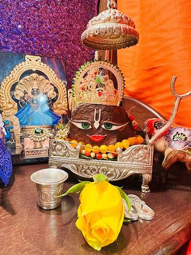 IMG_20251208_065721_822