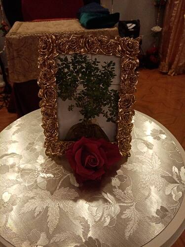 IMG_20250607_142744_977