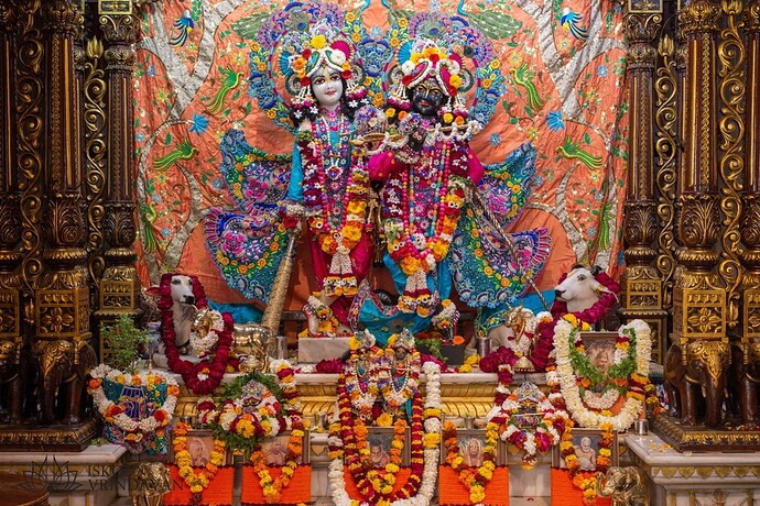 static-_8867c6e9ab347e2