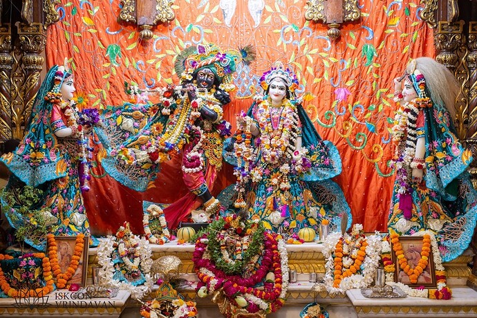 static-_8068106cc219ca3