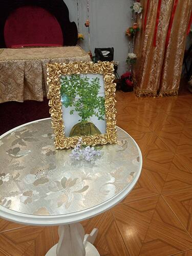 IMG_20250524_142305_630