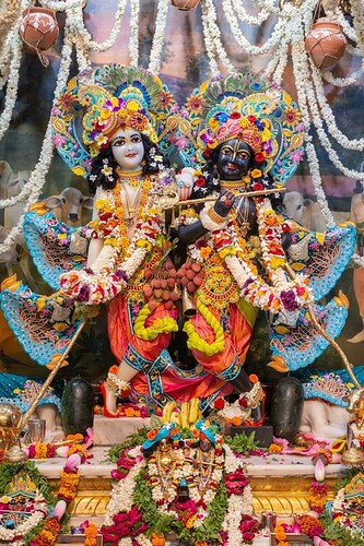 static-_486846778c815fd