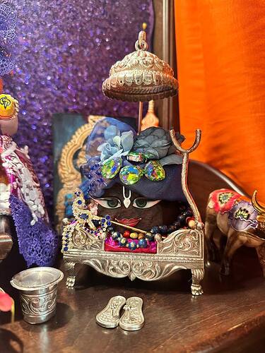 IMG_20251130_202700_817