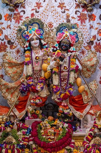 static-_2367d7b6d7258d9