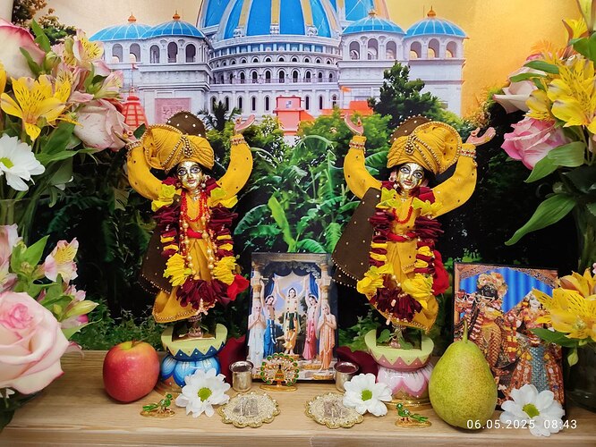 IMG_20250506_104532_634