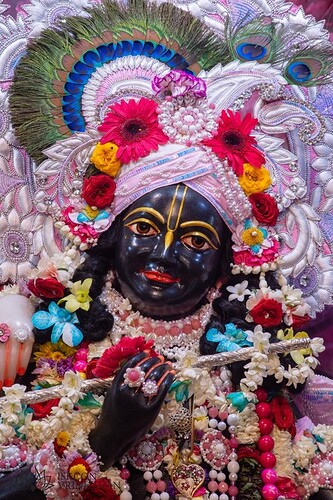 static-_3467f4d70134728