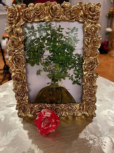 IMG_20250520_080712_903