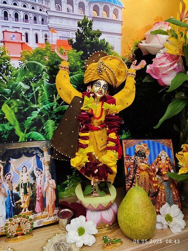 IMG_20250506_104547_779