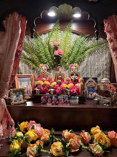 IMG_20250430_115746_304