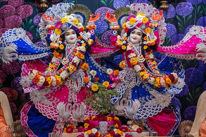 static-_5267c42057d1877