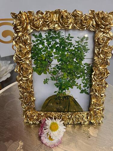 IMG_20250529_105550_727