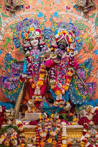 static-_10067c6e9aae354c