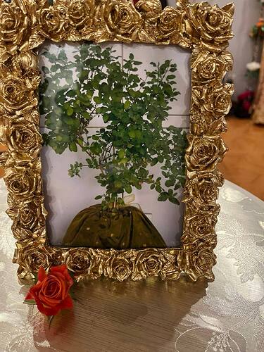 IMG_20250602_234337_817