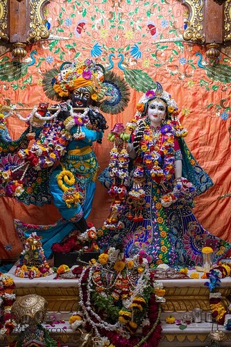 static-_9767c6e9abc6ae7