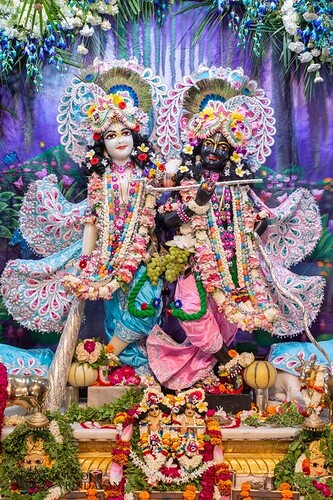 static-_416823107c8cc52