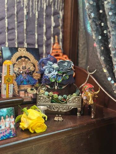 IMG_20260119_123239_694