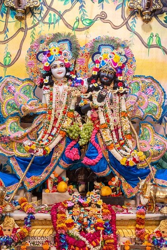 static-_6468170bdb5bdd3