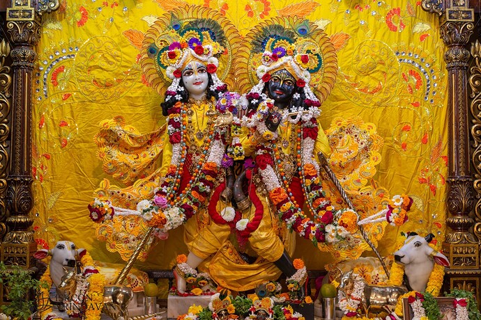 static-_8967c827f416231