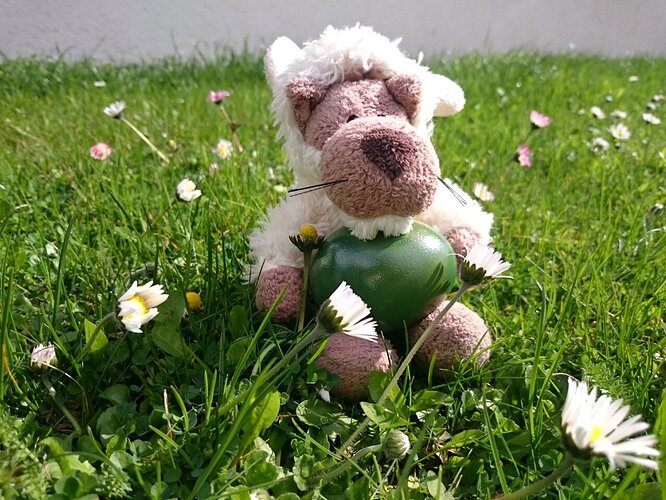 wolf-sheepskin-happychapi-photo-lg