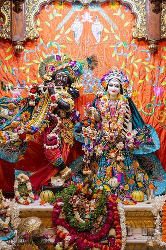 static-_9868106cc27b008