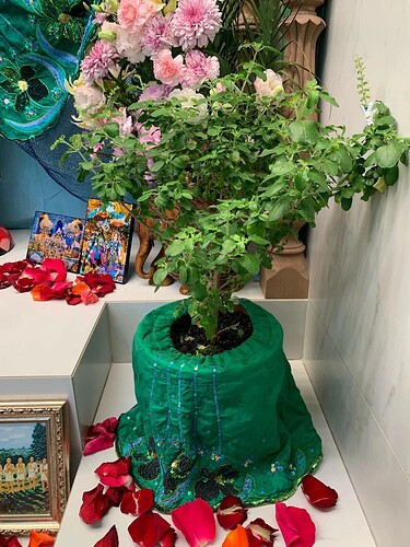 Ul0G9bTaIbnCxkWdmdfHVPuKExTOhU98AALl7IZVxqGGC69a3JTgMc0u750H7jxvoQs69PcwYKSX3lKwvK00iK8M