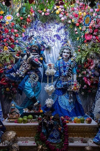 ZBw5Rb3546DCVGNaXMRECKCxoAGWJNnCDGBBrfEc5nfXCSD5t0MTMC1705fyhc33rW__MFTB54aX-c0kzZJ94RM2