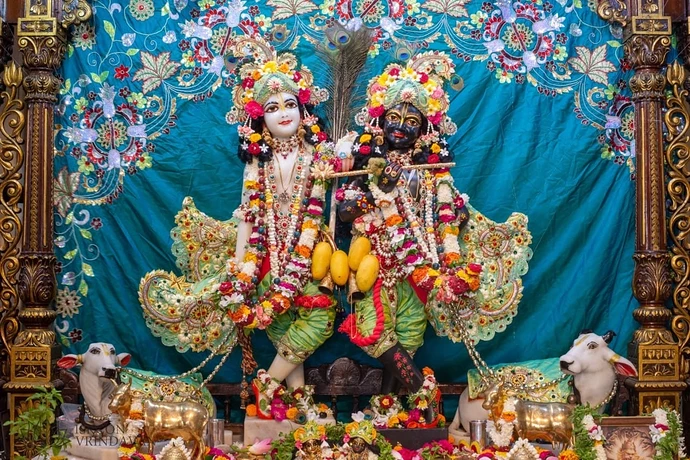 69q29wMkHhNTd_KVfej2Mgq-KkID396N6lxJTjW_kmYAEGdirb6b0Q0nZusmZkWvdTA9RHIqKgRrTMPNZ7rzNDas