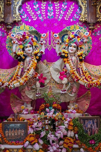 static-_81684534dae33c3