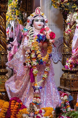 static-_3167f4d701e1e68