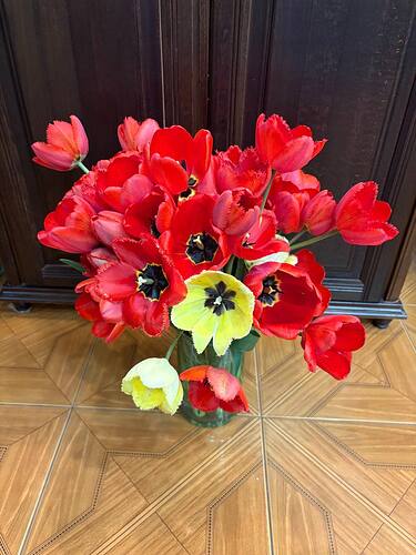 IMG_20250501_204358_165