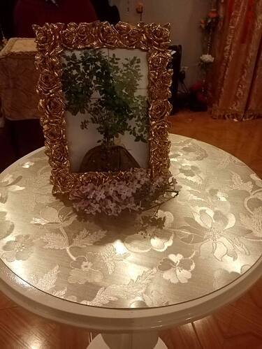 IMG_20250517_092904_645