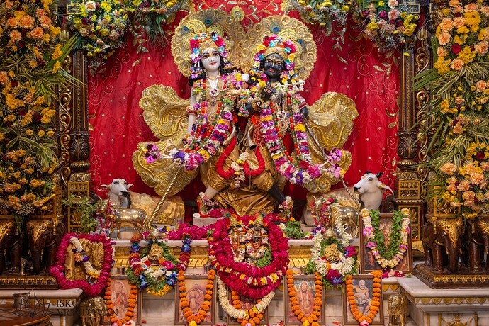 static-_2767f381ed2bac1