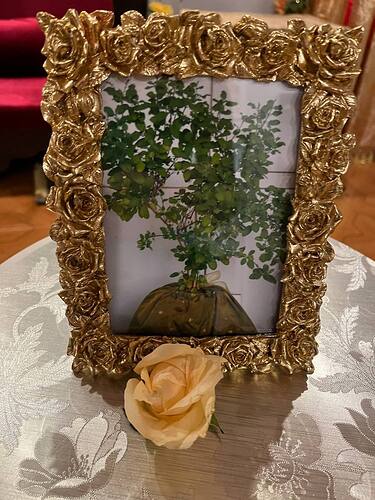 IMG_20250514_110716_172