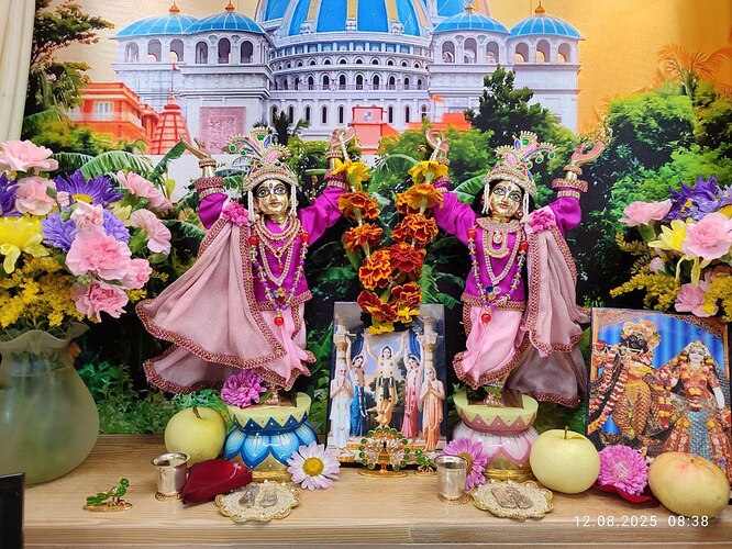 IMG_20250812_152910_656