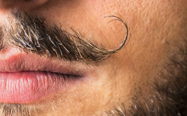 depositphotos_50872917-stock-photo-mustache-macro-shot