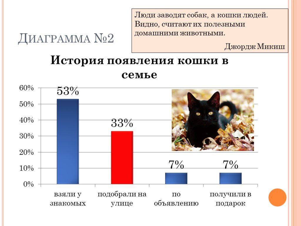 Круговая диаграмма кошки